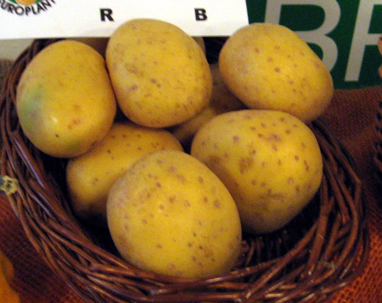 Bild Kartoffelmuseum Brillit