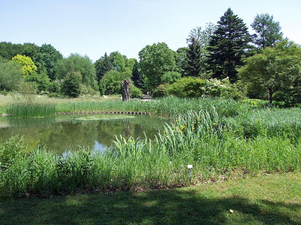 Bild Botanischer Garten Frankfurt am Main