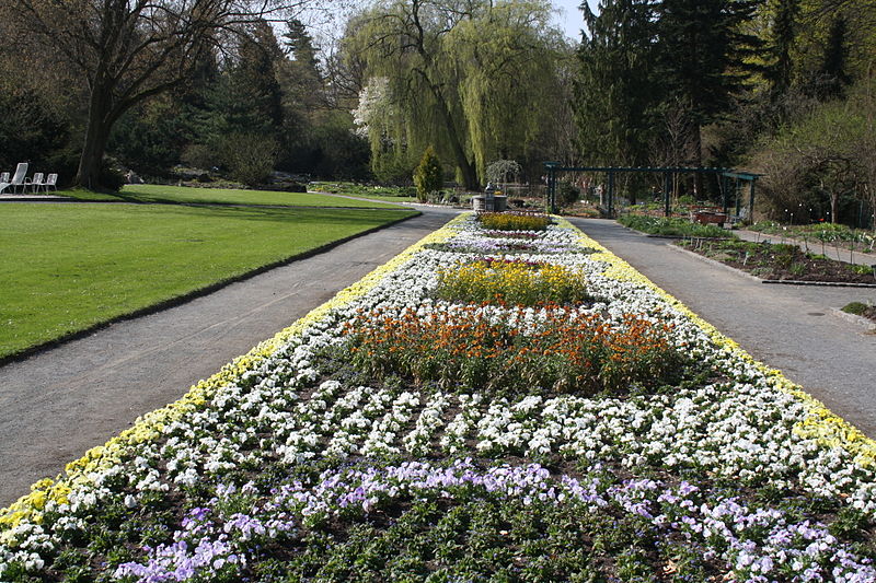 Bild Botanischer Garten Hof