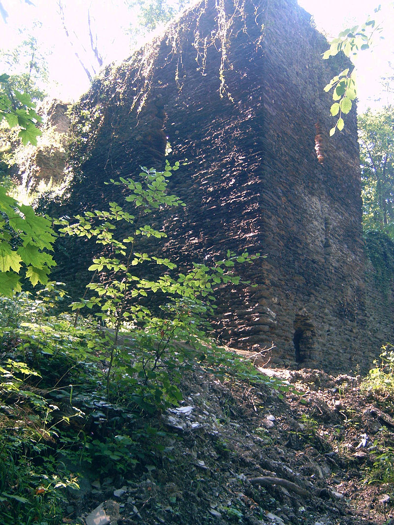 Bild Steinsche Burg Nassau