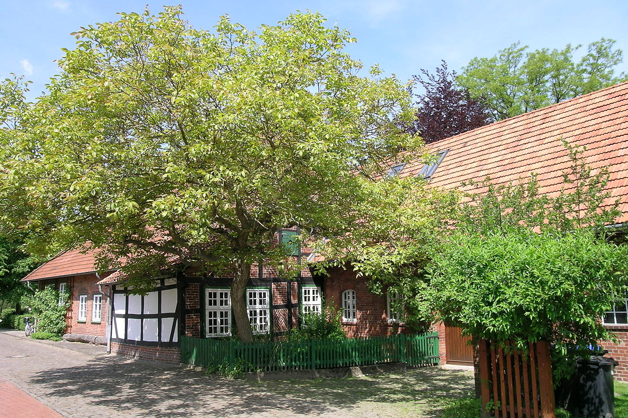 Bild Wilhelm Busch Geburtshaus Wiedensahl