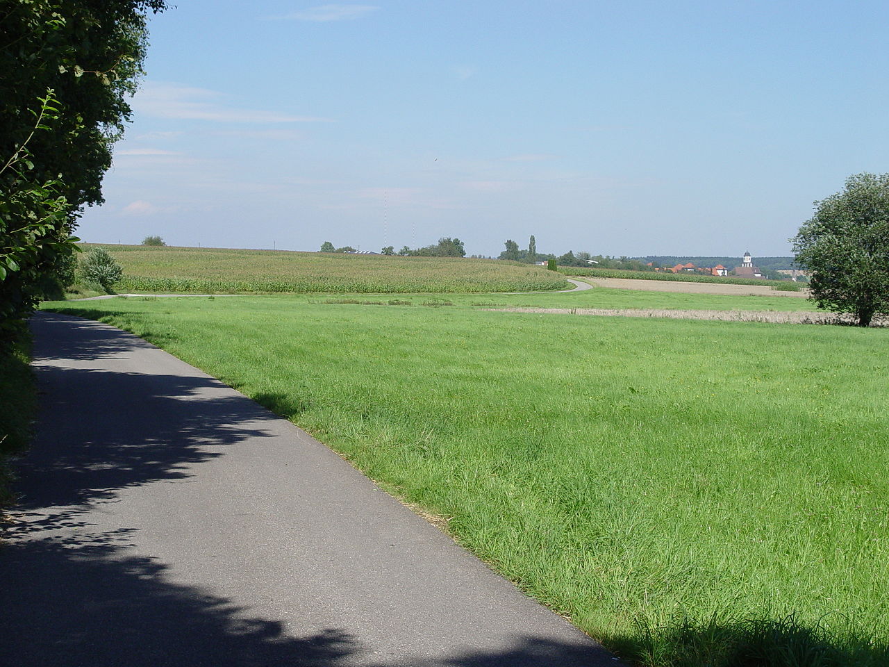 Bild Heideggers Feldweg Meßkirch