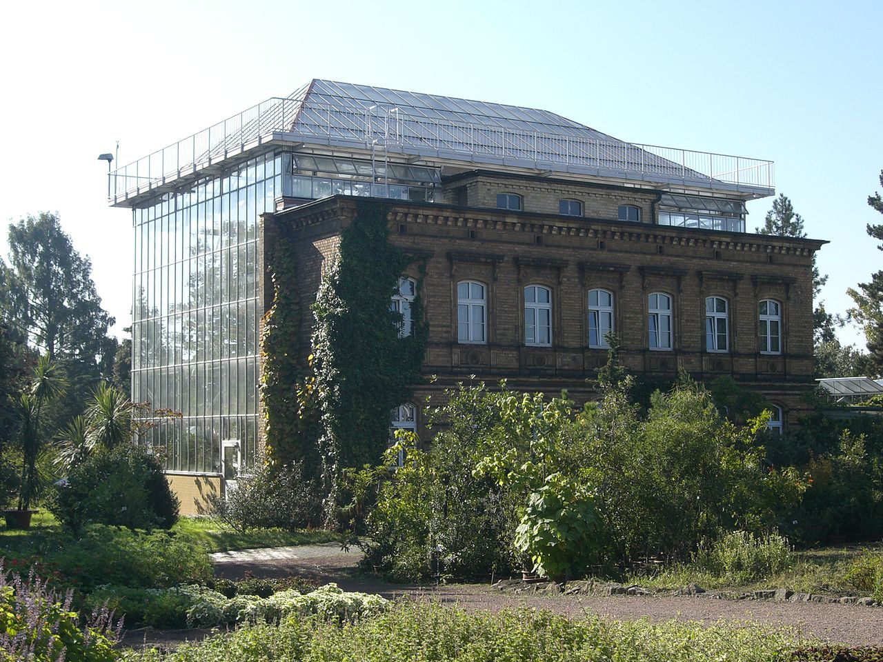 Bild Botanischer Garten Halle
