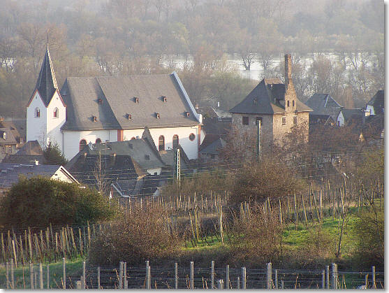 Bild Burg Hattenheim