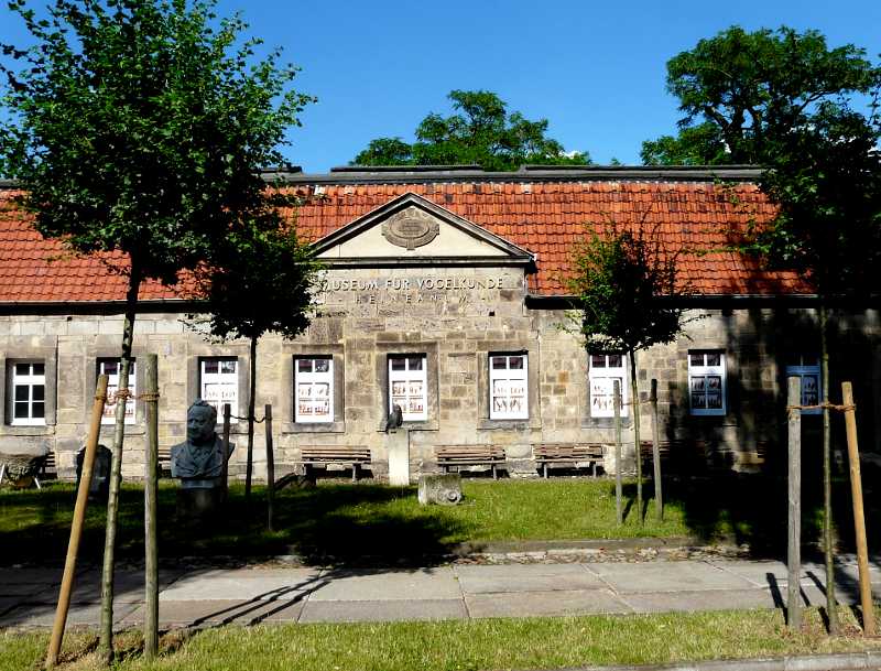 Bild Museum Heineanum Halberstadt