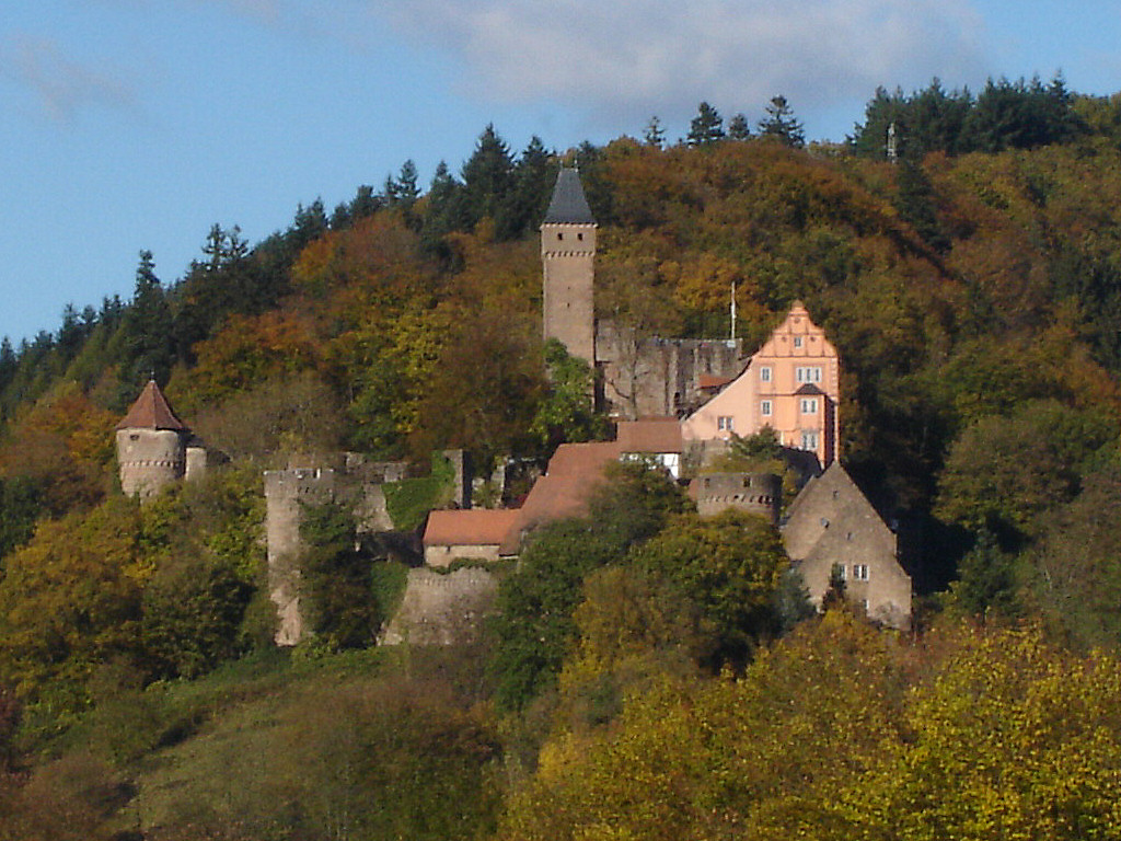 Bild Burg Hirschhorn