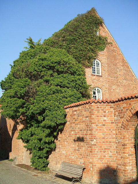 Bild Kloster St. Johannis Stralsund