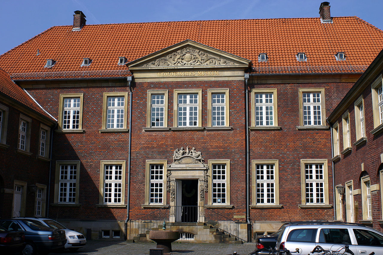 Bild Geomuseum Münster
