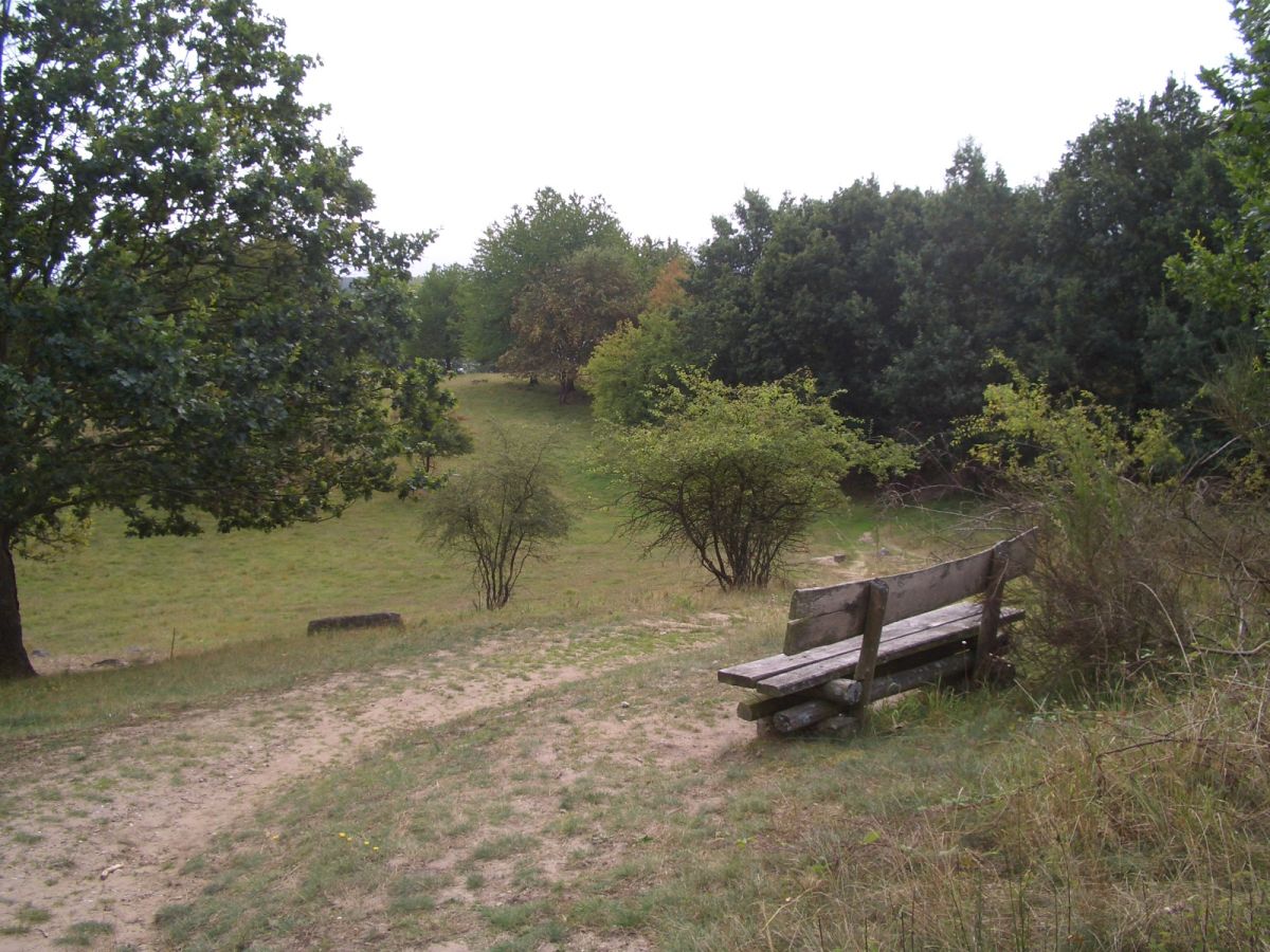 Bild Naturpark Feldberger Seenlandschaft