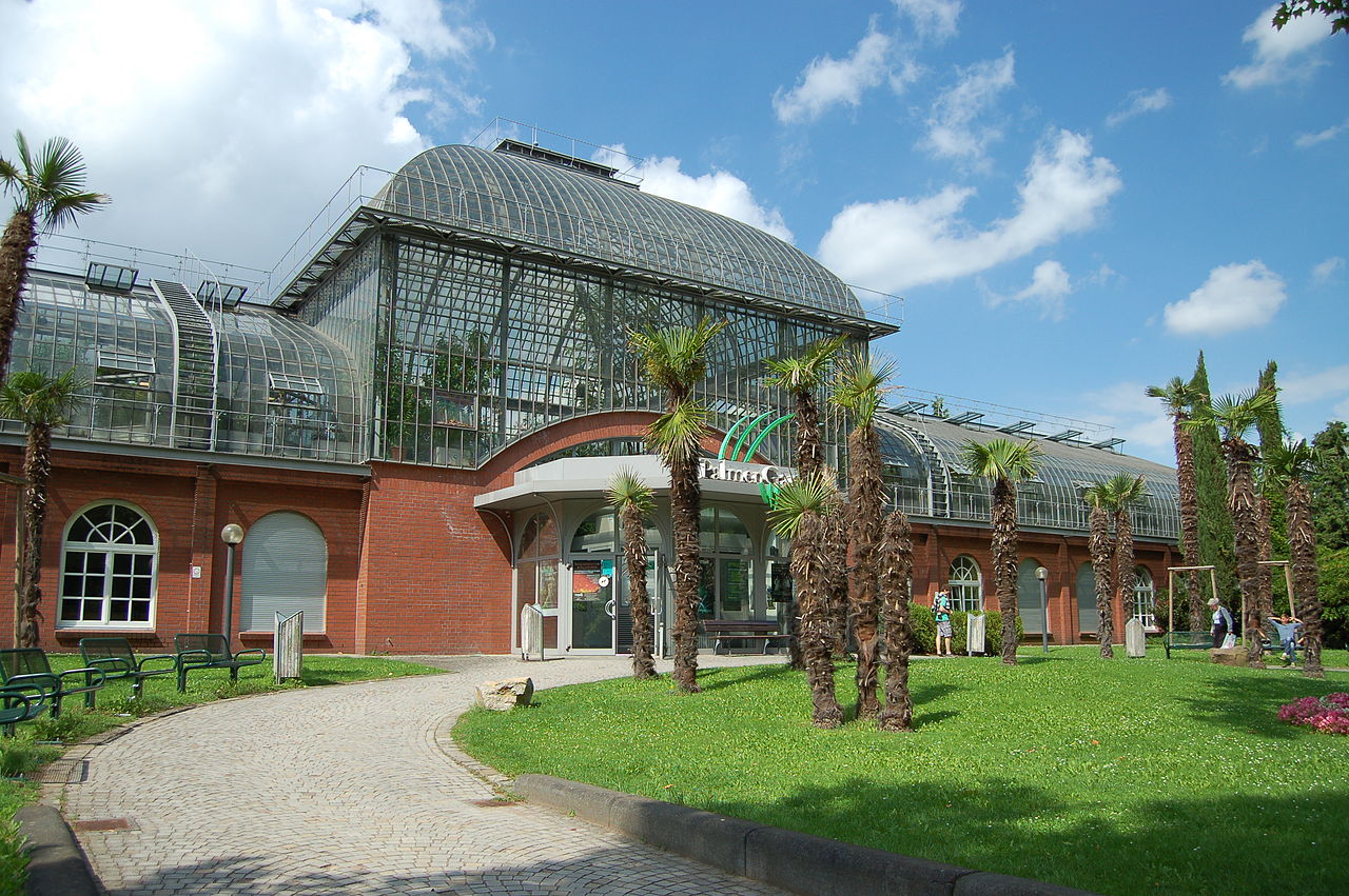 Bild Palmengarten Frankfurt am Main