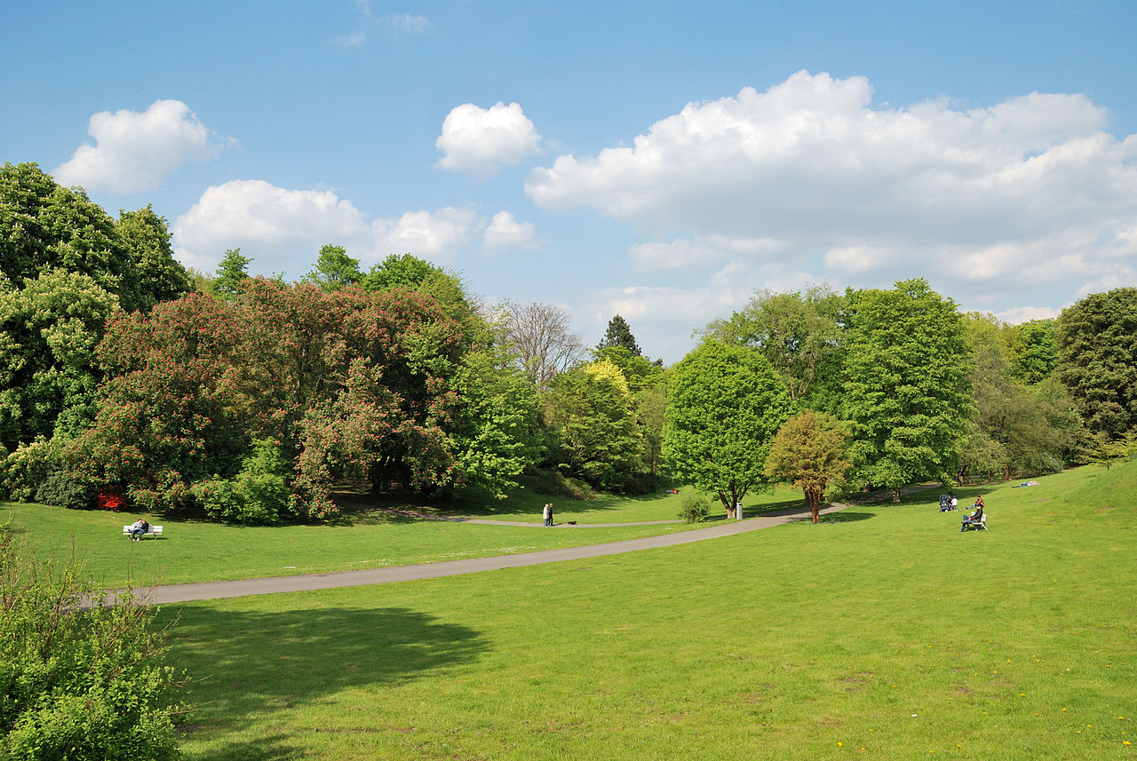 Bild Botanischer Garten Rombergpark Dortmund