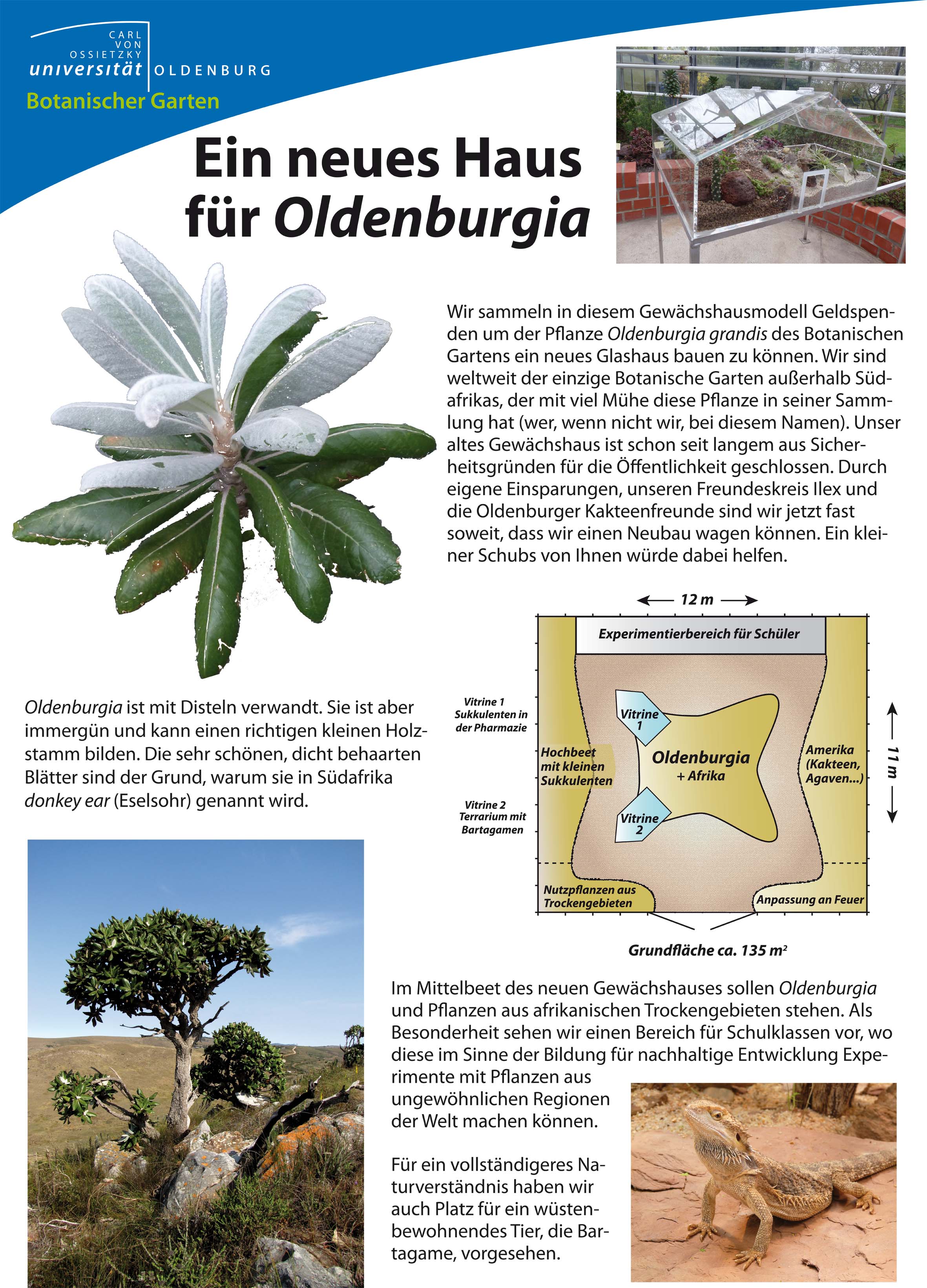 Bild Botanischer Garten der Universität Oldenburg