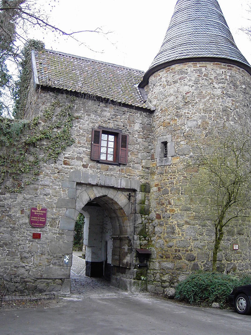 Bild Burg Wilhelmstein Würselen
