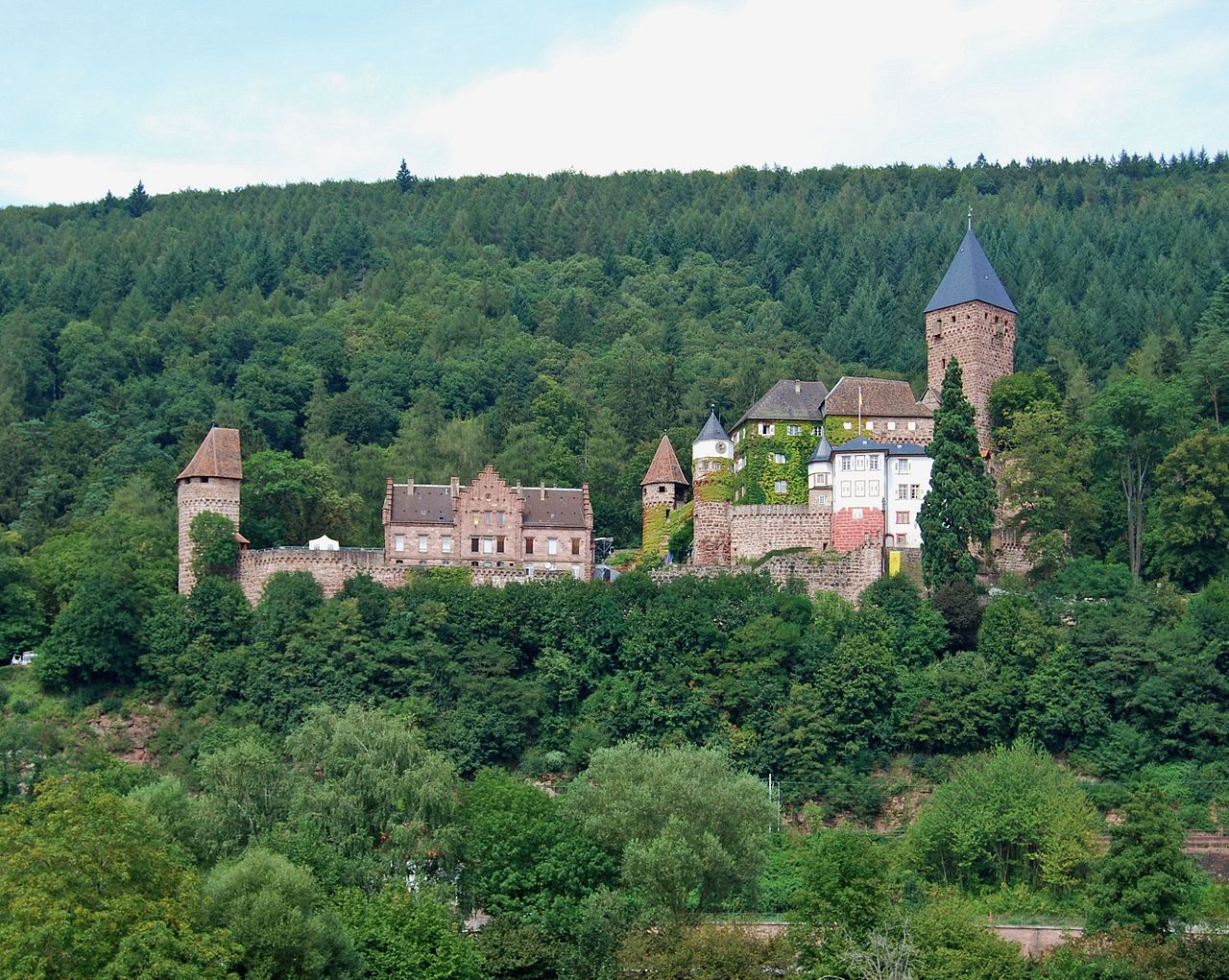 Bild Burg Zwingenberg