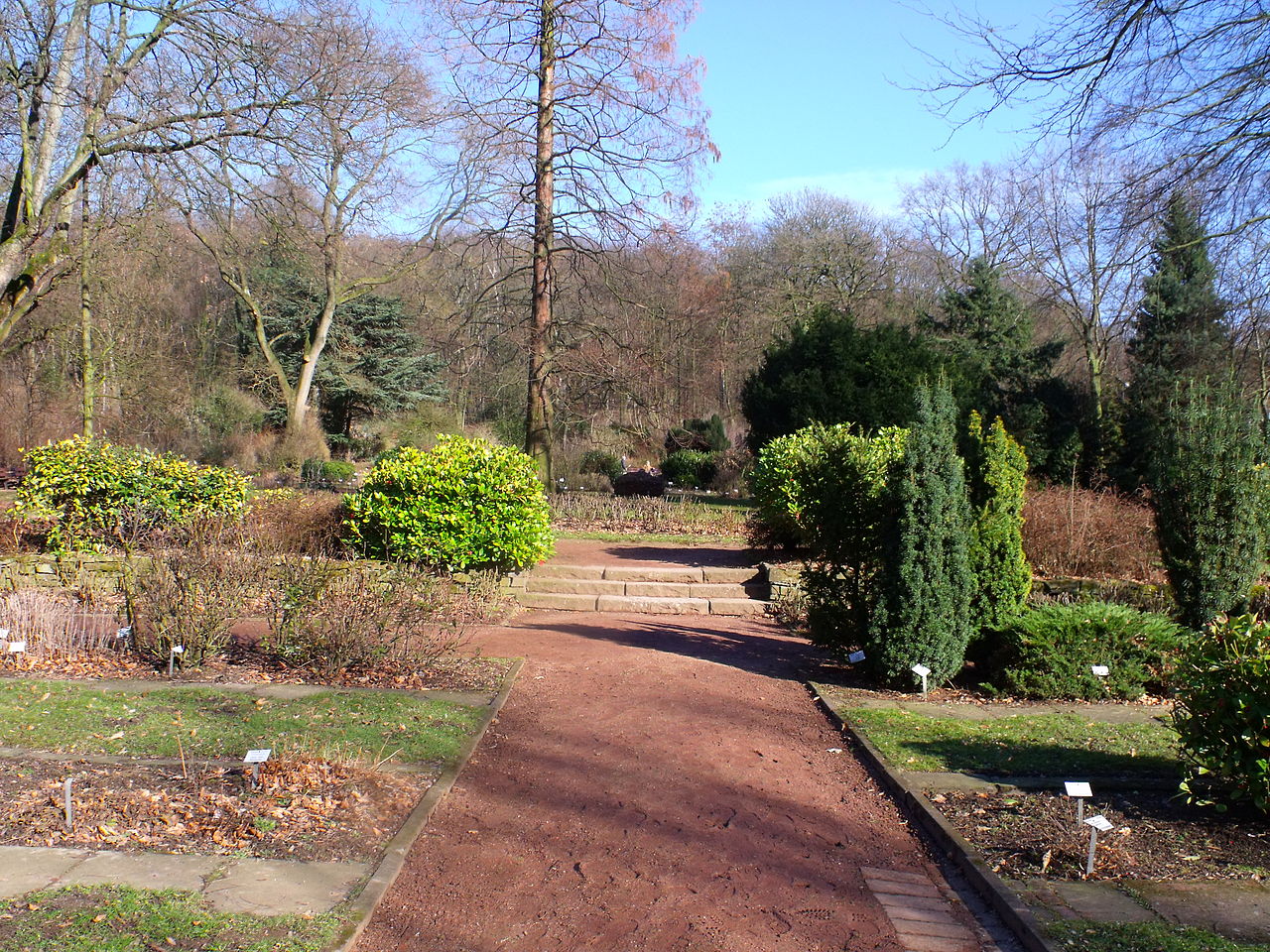 Bild Botanischer Garten Hamborn