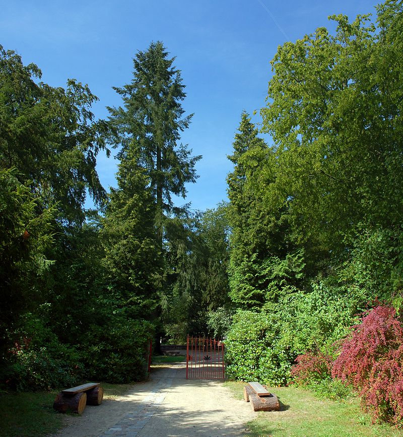 Bild Forstbotanischer Garten Eberswalde