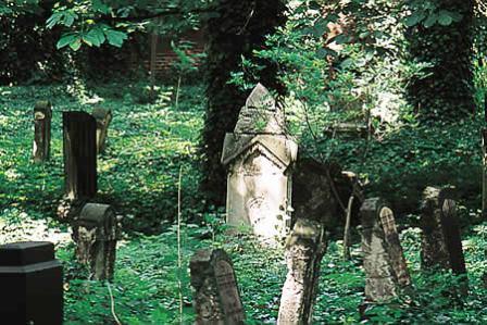 Bild Israelitischer Friedhof Dessau