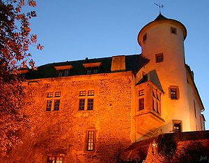 Bild Burg Neuerburg