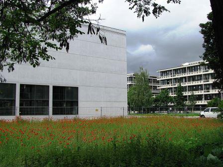 Bild Architekturmuseum der Technischen Universität München