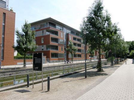 Bild Wohnbebauung Duisburger Innenhafen
