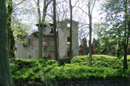 Bild Ruine Veste Landskron
