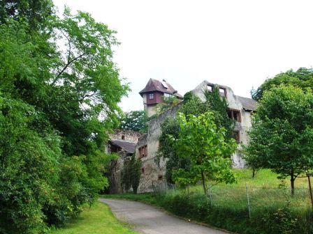 Bild Burg Sponeck Jechtingen am Kaiserstuhl