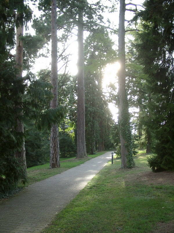 Bild Exotischer Garten Stuttgart Hohenheim