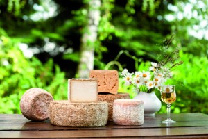 Bild Vulkanhof Gillenfeld