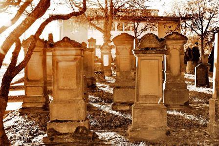 Bild Jüdischer Friedhof Mainz Ebersheim