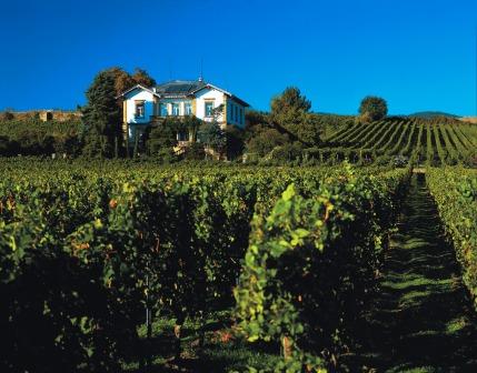 Bild Sektgut Menger Krug Deidesheim