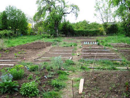 Bild Interkultureller Garten Ulm