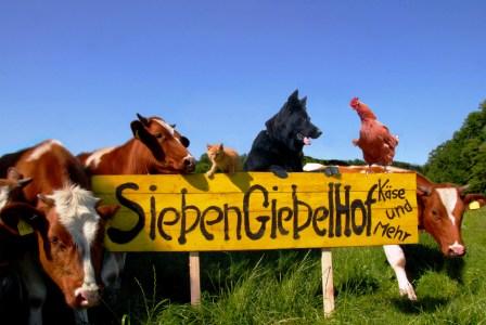 Bild SiebenGiebelHof Drenkow