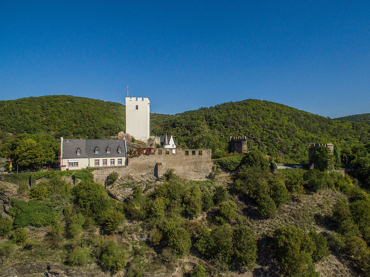 Bild Burg Sterrenberg Kamp Bornhofen