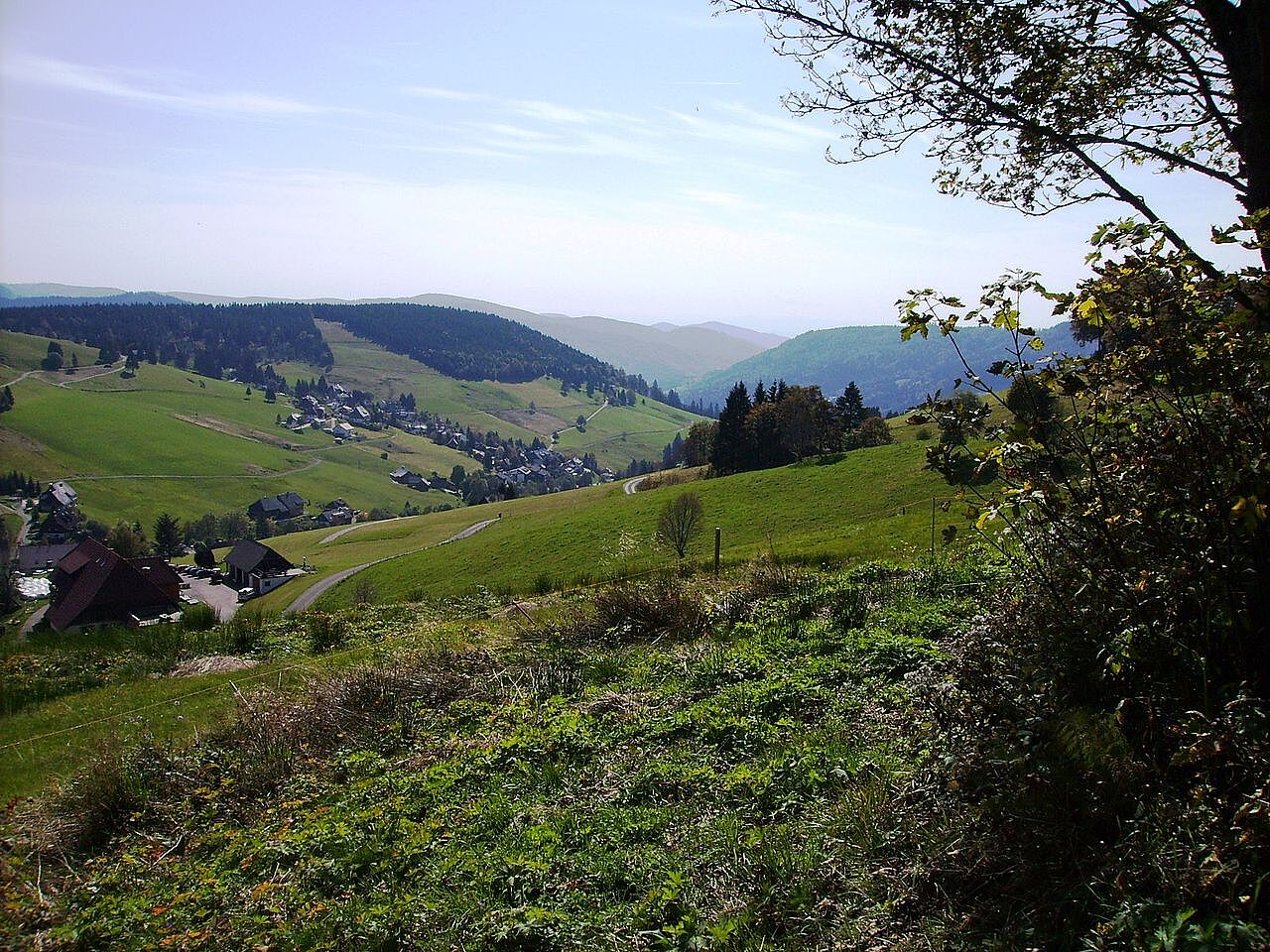 Bild Martin Heidegger Rundweg Todtnauberg