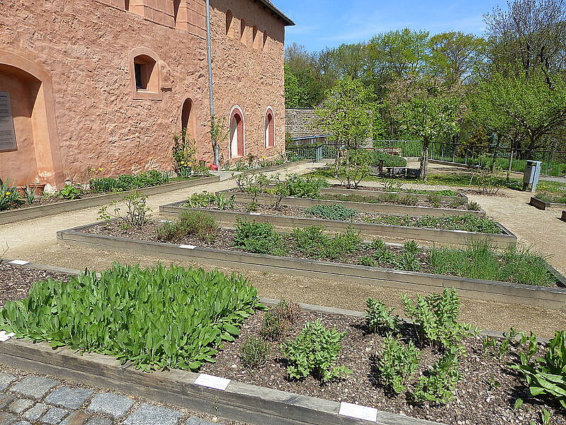 Bild Tierpark & Kloster Riesa