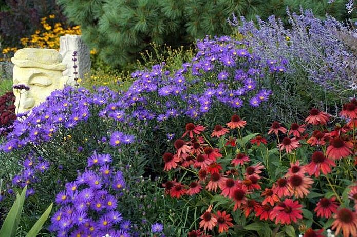 Bild Staudengärtnerei Pohler Limburg  Staffel