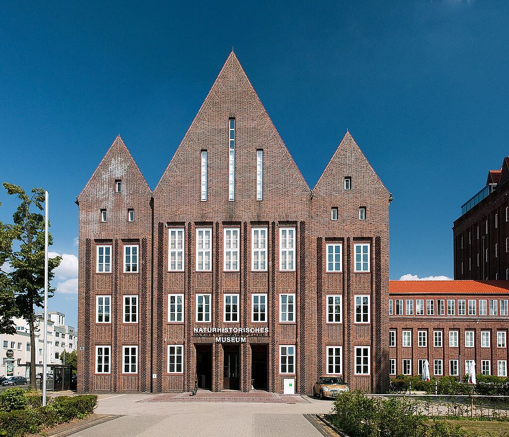 Bild Naturhistorisches Museum Braunschweig