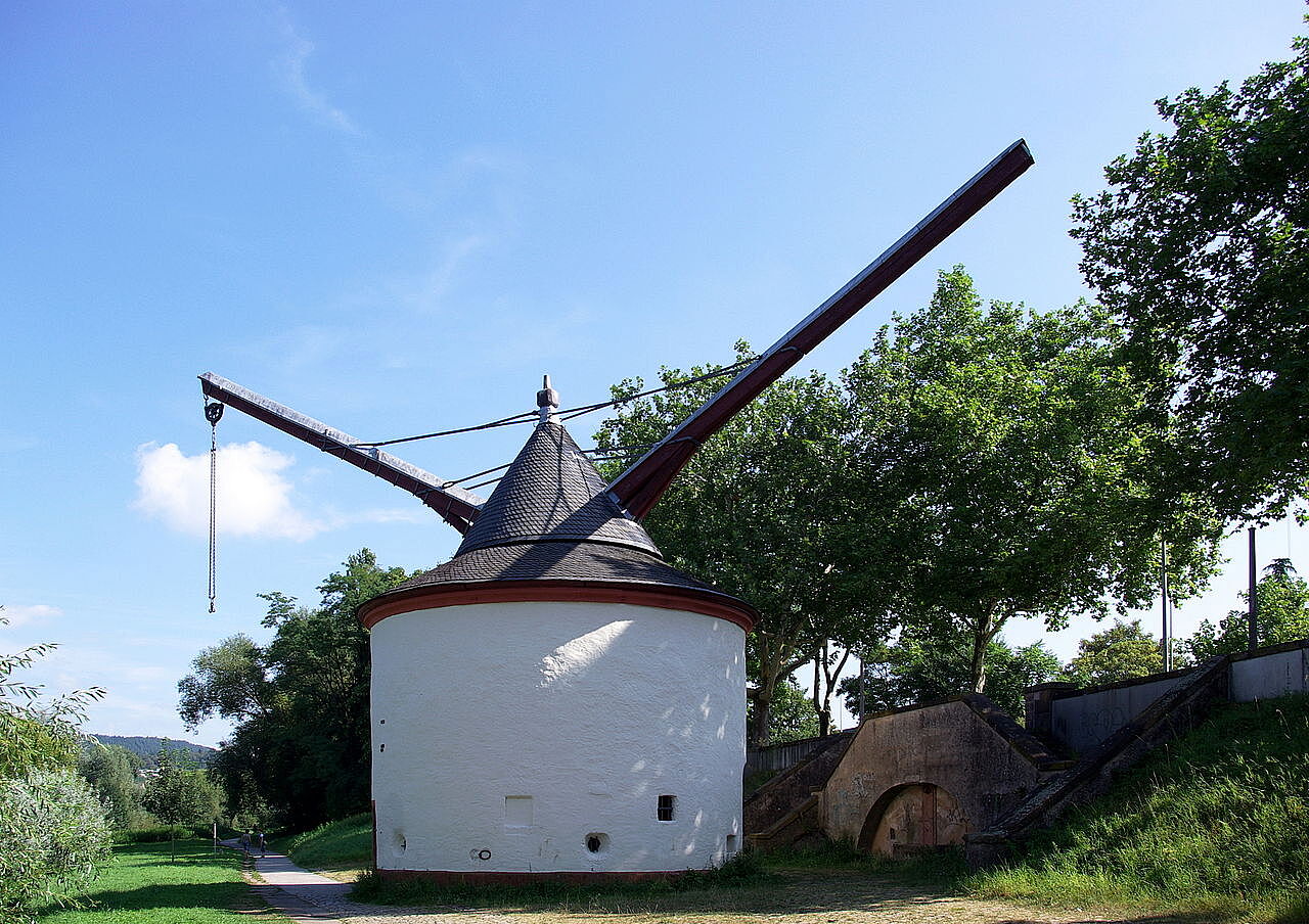 Bild Alter Krahnen Tier