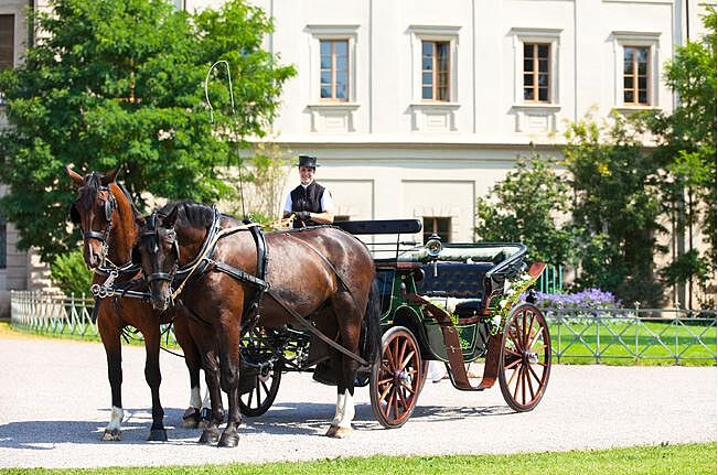 Bild Kutschfahrt durch Weimar