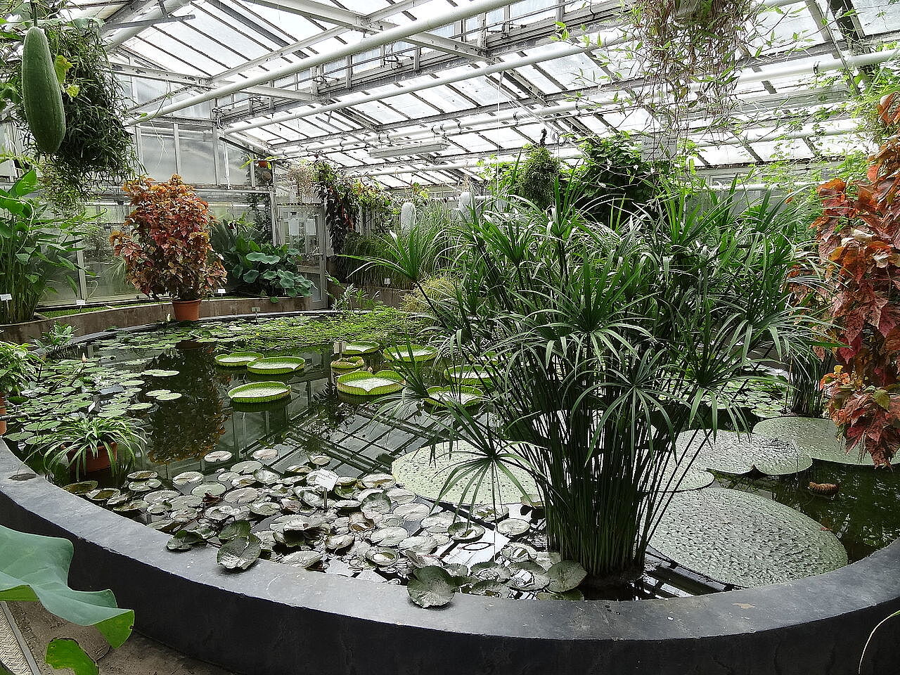 Bild Botanischer Garten Gießen