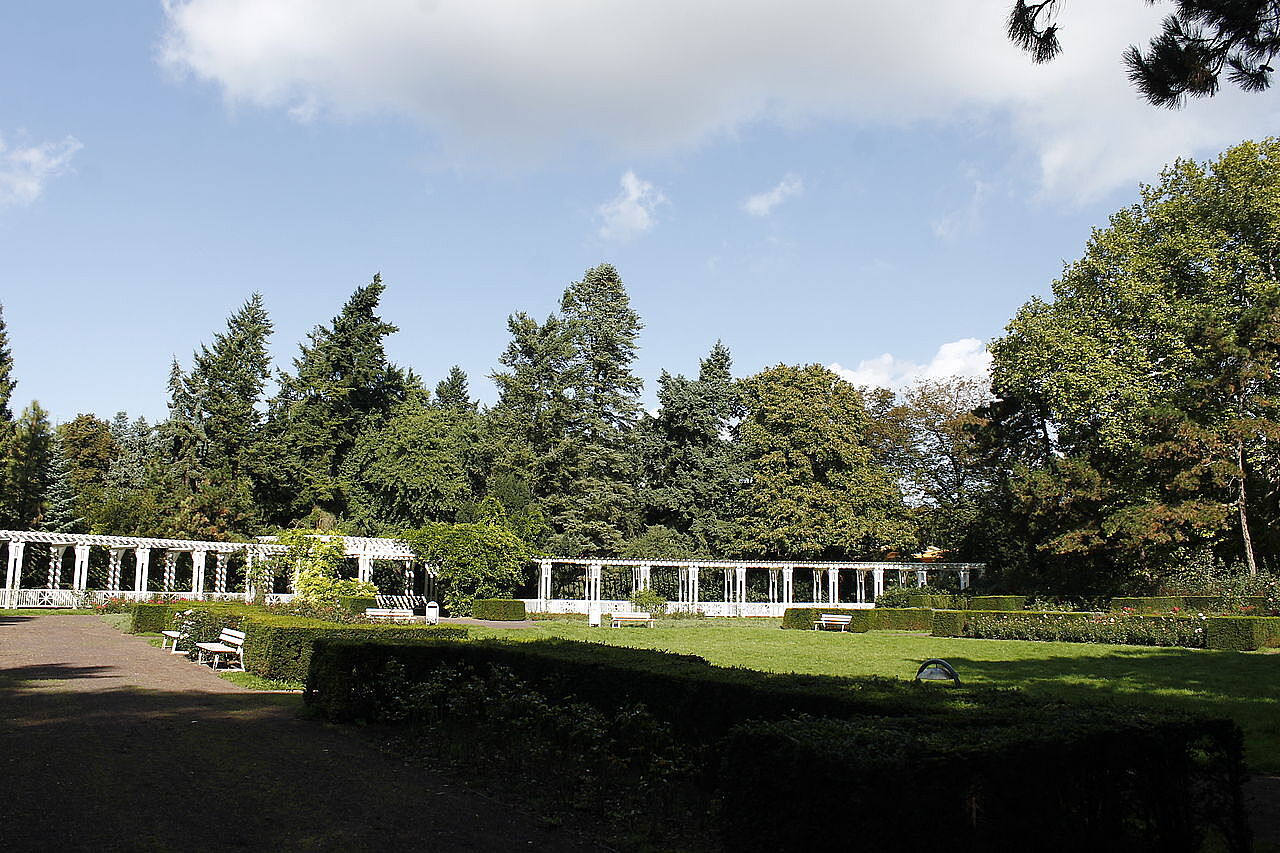 Bild Vogelgsang Park Magdeburg