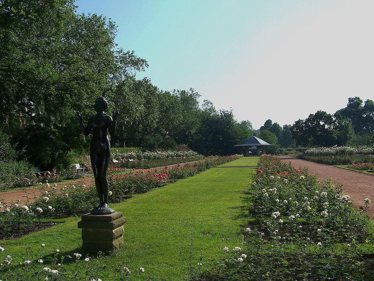 Bild Rosengarten Dresden