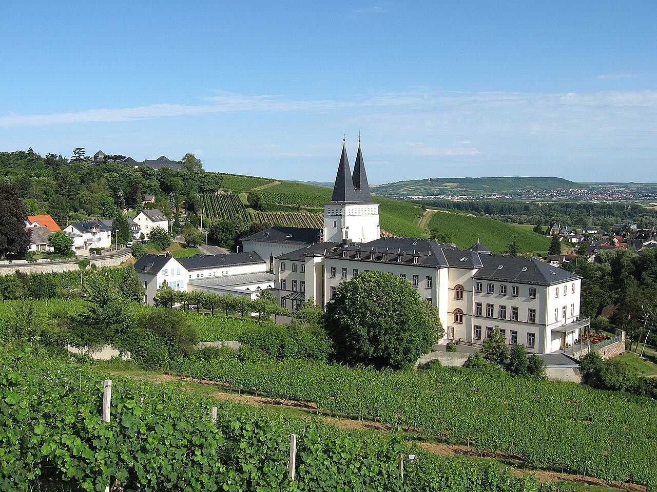 Bild Kloster Johannisberg Geisenheim