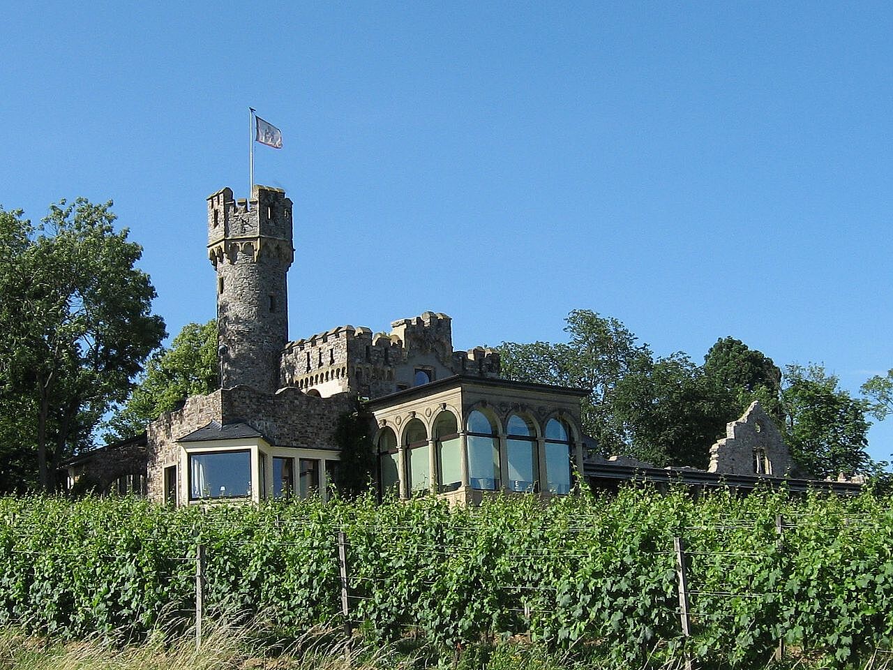 Bild Burg Schwarzenstein Geisenheim