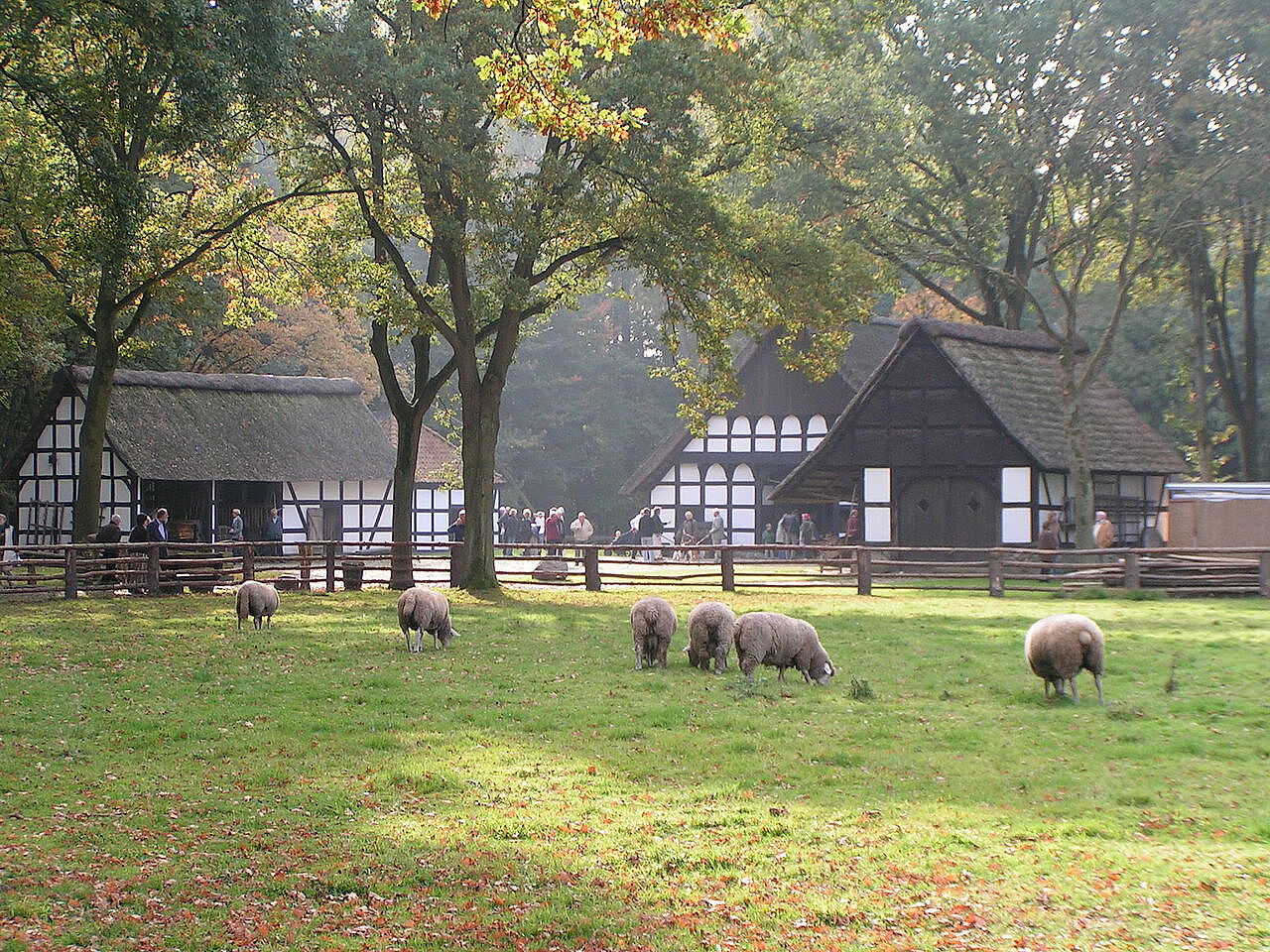 Bild Museumshof Rahden