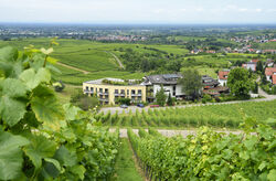 Bild Hotel Rebenhof Baden Baden
