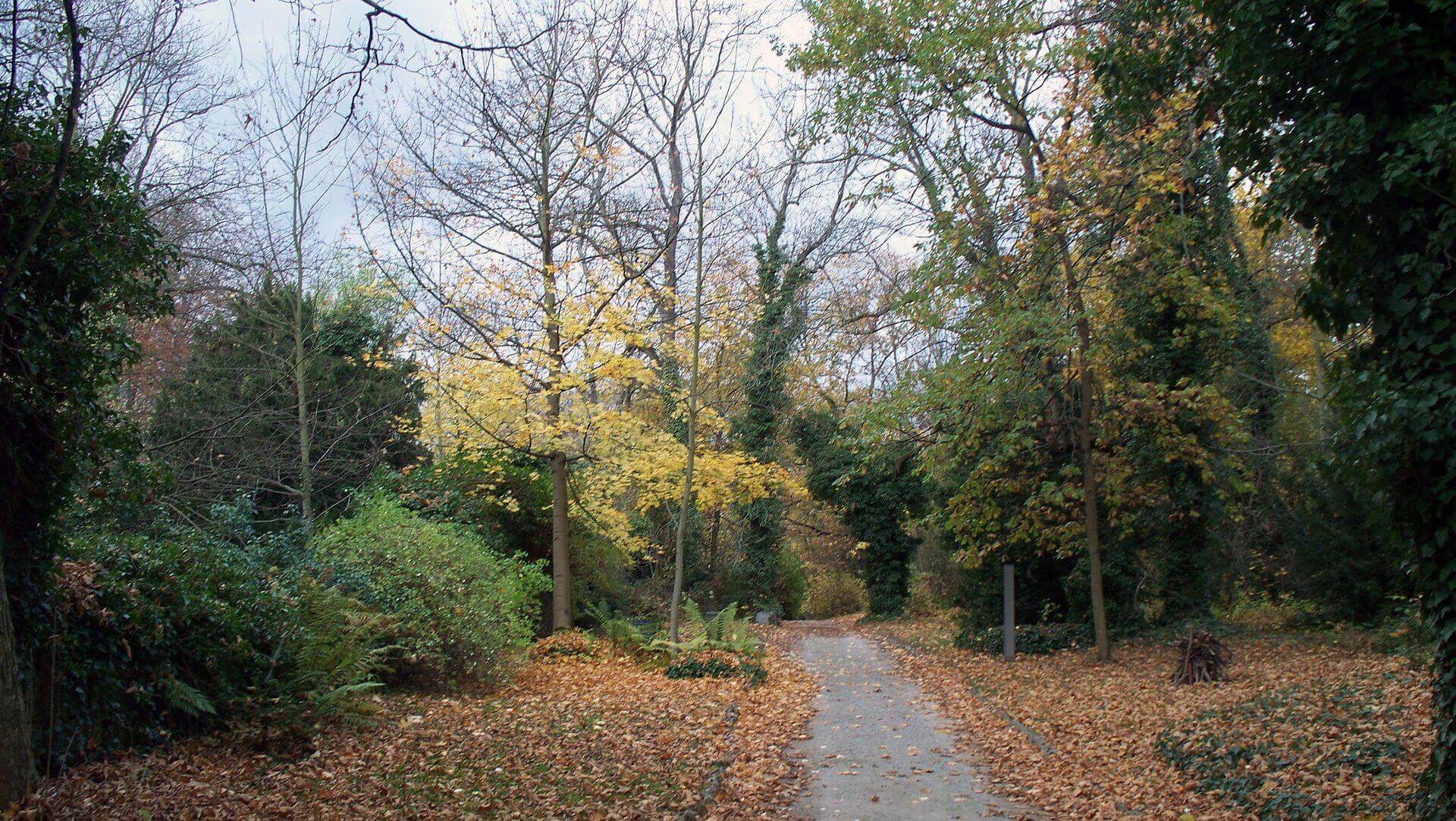 Bild Johannisfriedhof Jena