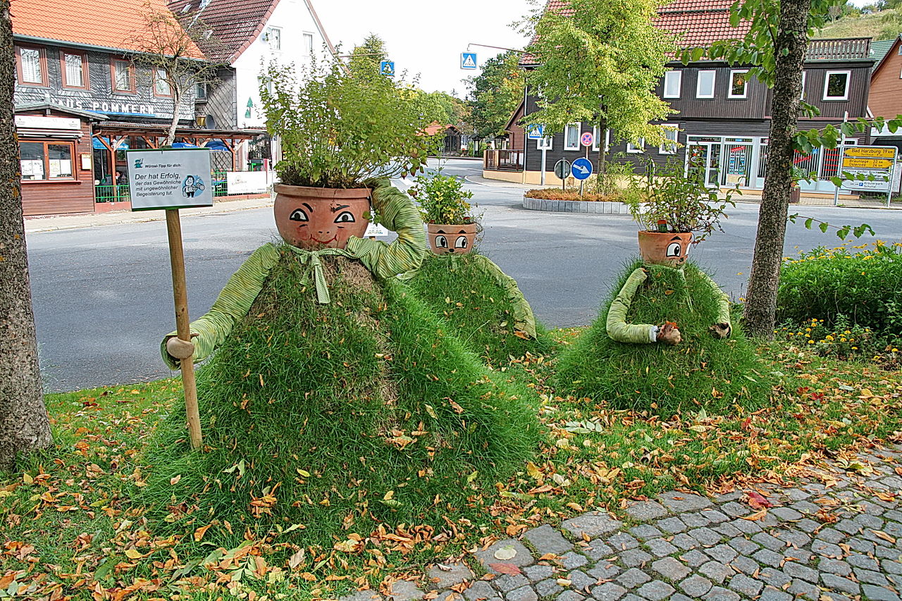 Bild KräuterPark Altenau