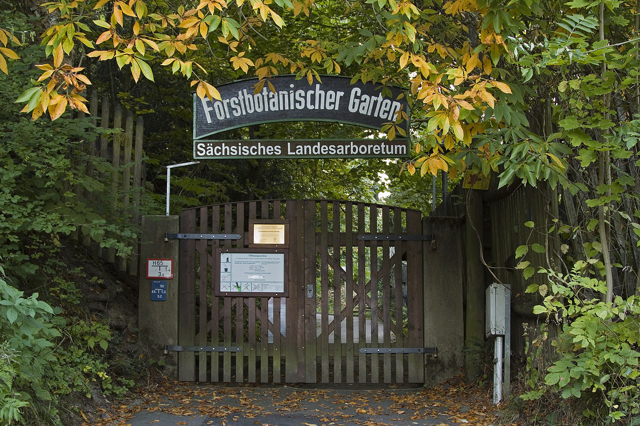 Bild Forstbotanischer Garten Tharandt