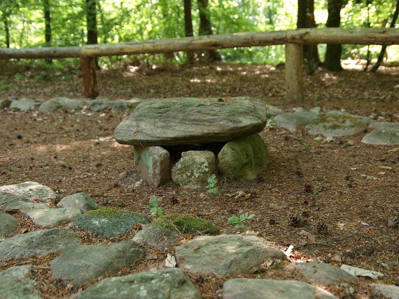 Bild Archäologischer Wanderpfad Fischbeker Heide